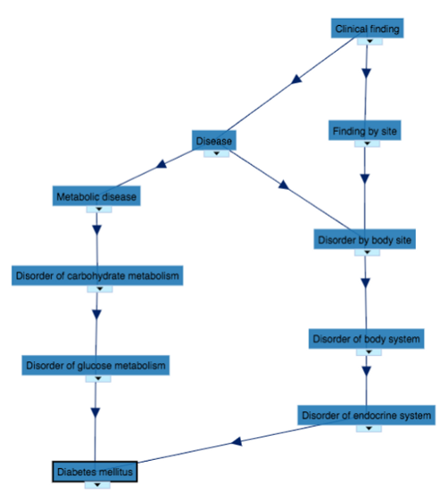 UMLS-structure